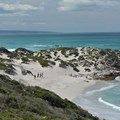Five reasons to visit the De Hoop Nature Reserve