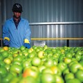 Appletiser plant in Elgin ramps up annual production