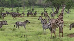 By Murky1 – , CC BY-SA 2.0