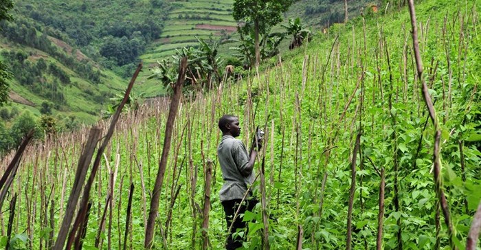 Neil Palmer (CIAT) via