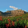#7WondersDay: A day to wonder at Table Mountain