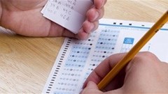 'Fire thousands of nurses who cheated'