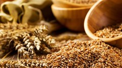 Food commodity prices to remain low over next decade - OECD, FAO