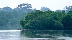 Why the future of Africa's forests and savannas is under threat