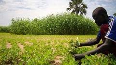 Oxfam East Africa via