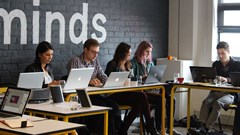 A Millennial fly on the wall