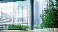 Africa shows rising interest in green building design