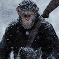 #OnTheBigScreen: Ape battles, human nature and Japanese art