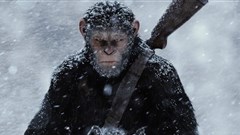#OnTheBigScreen: Ape battles, human nature and Japanese art