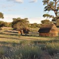 #Khomani San Landscape within the Kgalagadi Gemsbok National Park (Image: Kevin Moore of SANParks )