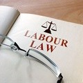 Trade unions in focus at Labour Law Conference