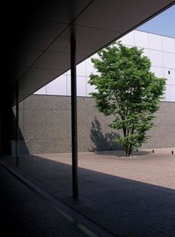 A glazed internal courtyard can bring weather-generated movement into its surrounding indoor spaces. (Click to zoom.) Kevin Nute, CC BY-NC-ND