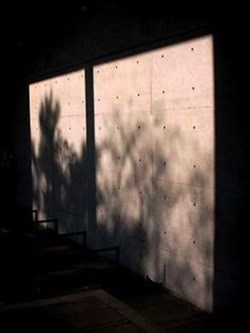 Wind-animated foliage shadows projected by the sun onto an interior surface. (Click to zoom.) Kevin Nute, CC BY-NC-ND