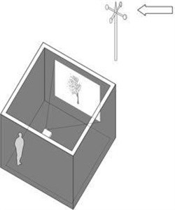 The digital tree shadow developed by Jeffrey Stattler can move realistically with live changes in the speed and direction of the wind outside. (Click to zoom.) Kevin Nute, CC BY-NC-ND