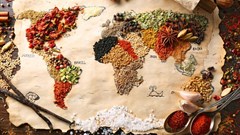 Developing countries urged to set international food standards