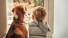Boomerang pet survey highlights role of pets within families