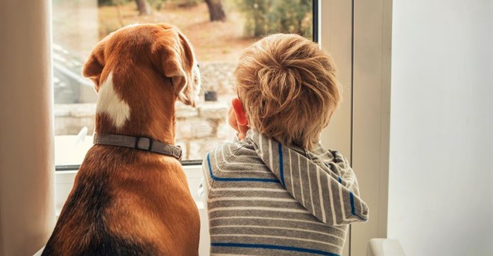Boomerang pet survey highlights role of pets within families