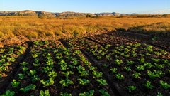 New approaches and sustainable partnerships will enhance food security in Africa