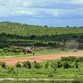 Ulf Rydin via - Msembe airstrip in Ruaha National Park, Tanzania