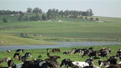 Mearns Farm (Image Supplied)