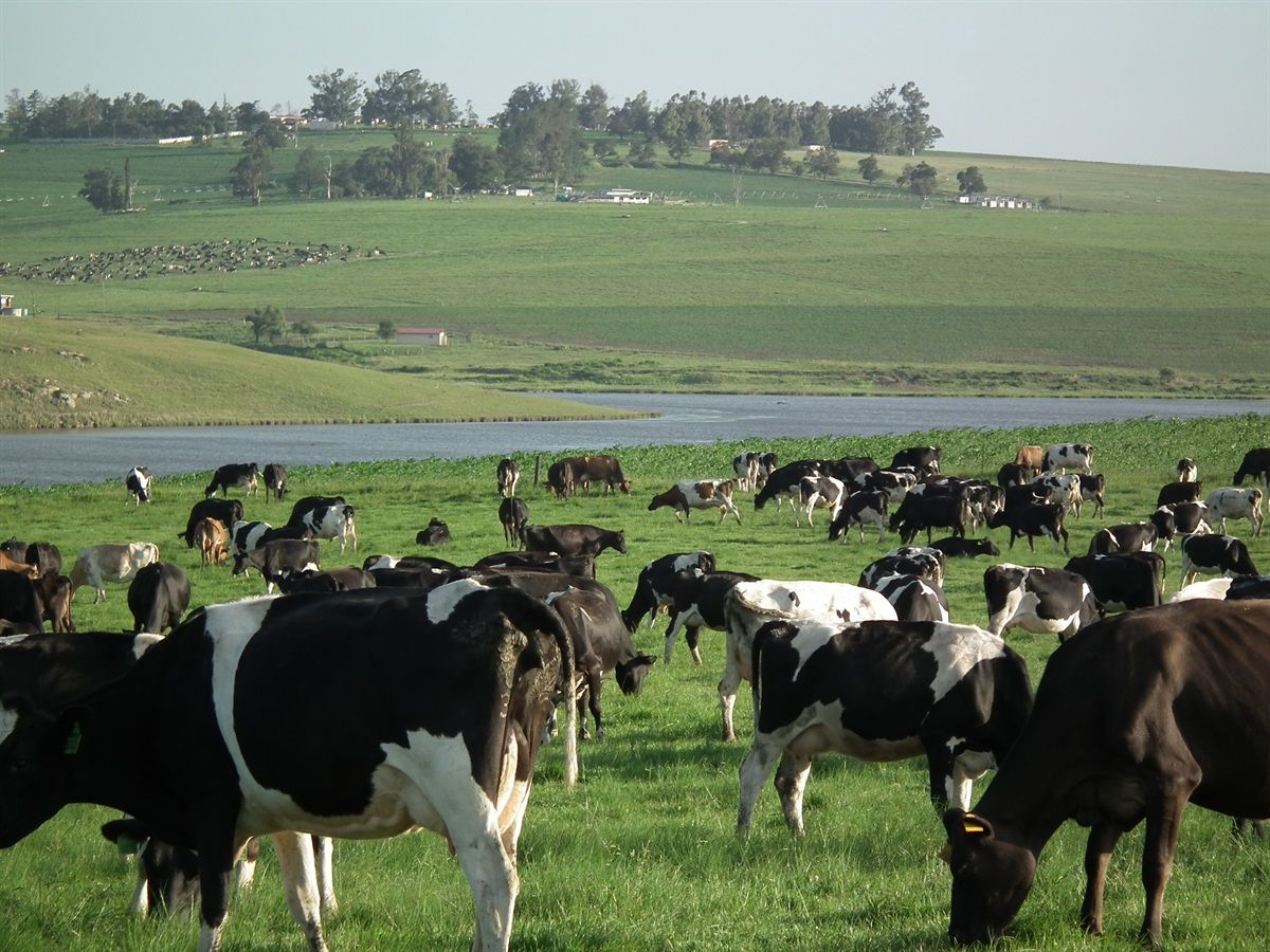 Mearns Farm (Image Supplied)