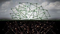 Digital marketing and dark social traffic