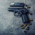 SAPS appeals court judgment on firearm renewals