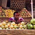 The global food system still benefits the rich at the expense of the poor