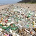 Thousands of plastic bottles and other pieces of plastic litter line the coastline south of Durban after a recent storm – testimony to South Africa’s ranking among the top 20 worst marine plastic polluters in the world. Picture: Lisa Guastella