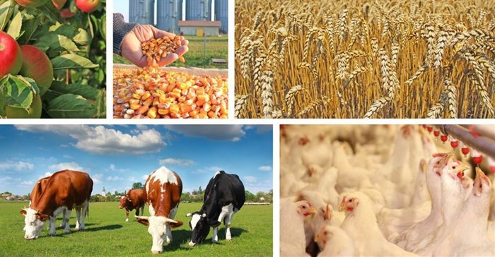 Agri trends: Grains, oilseeds, livestock and fibres