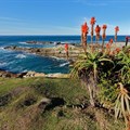 Tourism bodes well for Cape Garden Route and Klein Karoo business