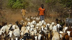 Sgt. Michelle Halpin via