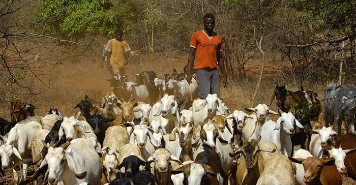 Sgt. Michelle Halpin via