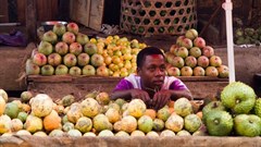 What sub-Sahara can learn from India's 'Green revolution': the good and the bad