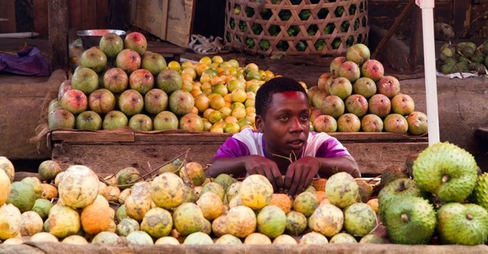 What sub-Sahara can learn from India's 'Green revolution': the good and the bad