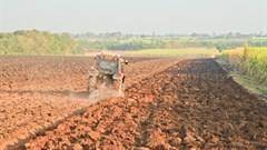 Agriculture a culprit in global warming, says US research