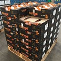 Tango: New SA mandarin hits shelves