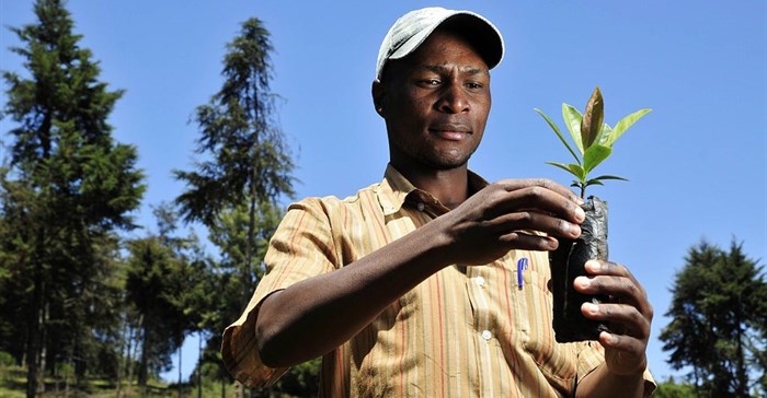 Neil Palmer (CIAT) via