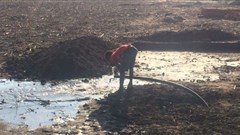 Water flows from the new solar pump installed by the Youth Economic and Social Action group in Chikwawa, Malawi (Image Supplied)