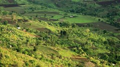 Climate-smart agriculture urgently needed in Africa
