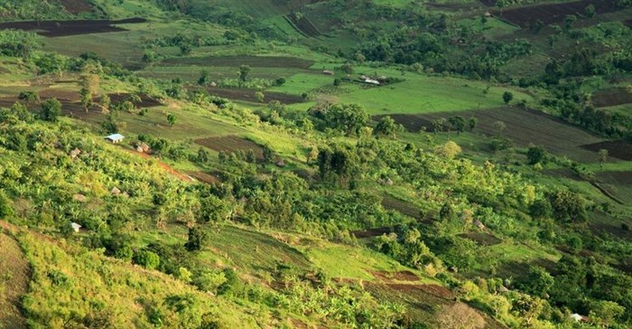 Climate-smart agriculture urgently needed in Africa