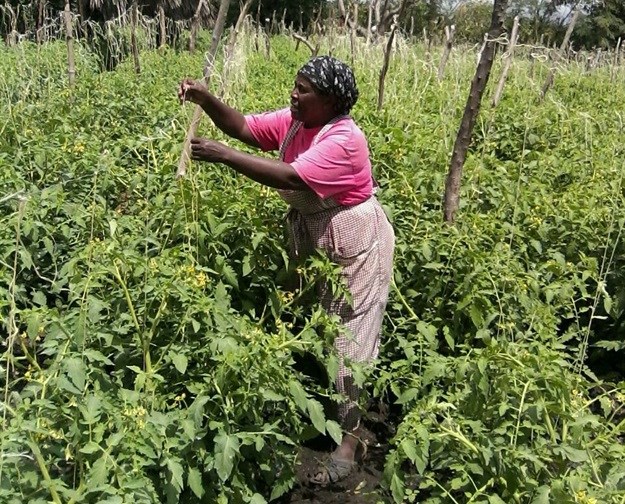 Tabitha Muthoni, a smallholder farmer near Mombasa, Kenya. Source: Syngenta