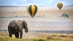 Africa's ambitious new biodiversity laws come with teeth, will protect people too