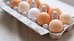 What comes first: the free-range chicken or the free-range egg