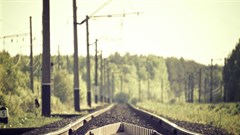 Photo by Alexander Shustov on Unsplash