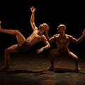 2017 Baxter Dance Festival will feature 64 new pieces
