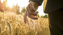 Major investments, partnerships a boost for African agriculture and economy