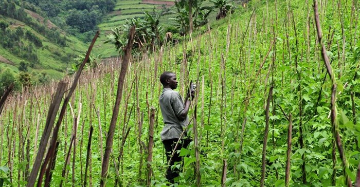 Neil Palmer (CIAT) via