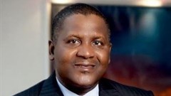 Dangote emphasises diversification of African economies, importance of agriculture