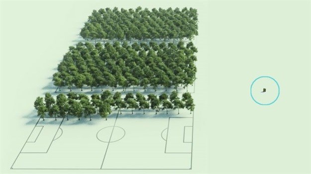 CityTree: The oxygen-producing forest in miniature